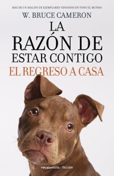 La Razón De Estar Contigo. El Regreso A Casa #3