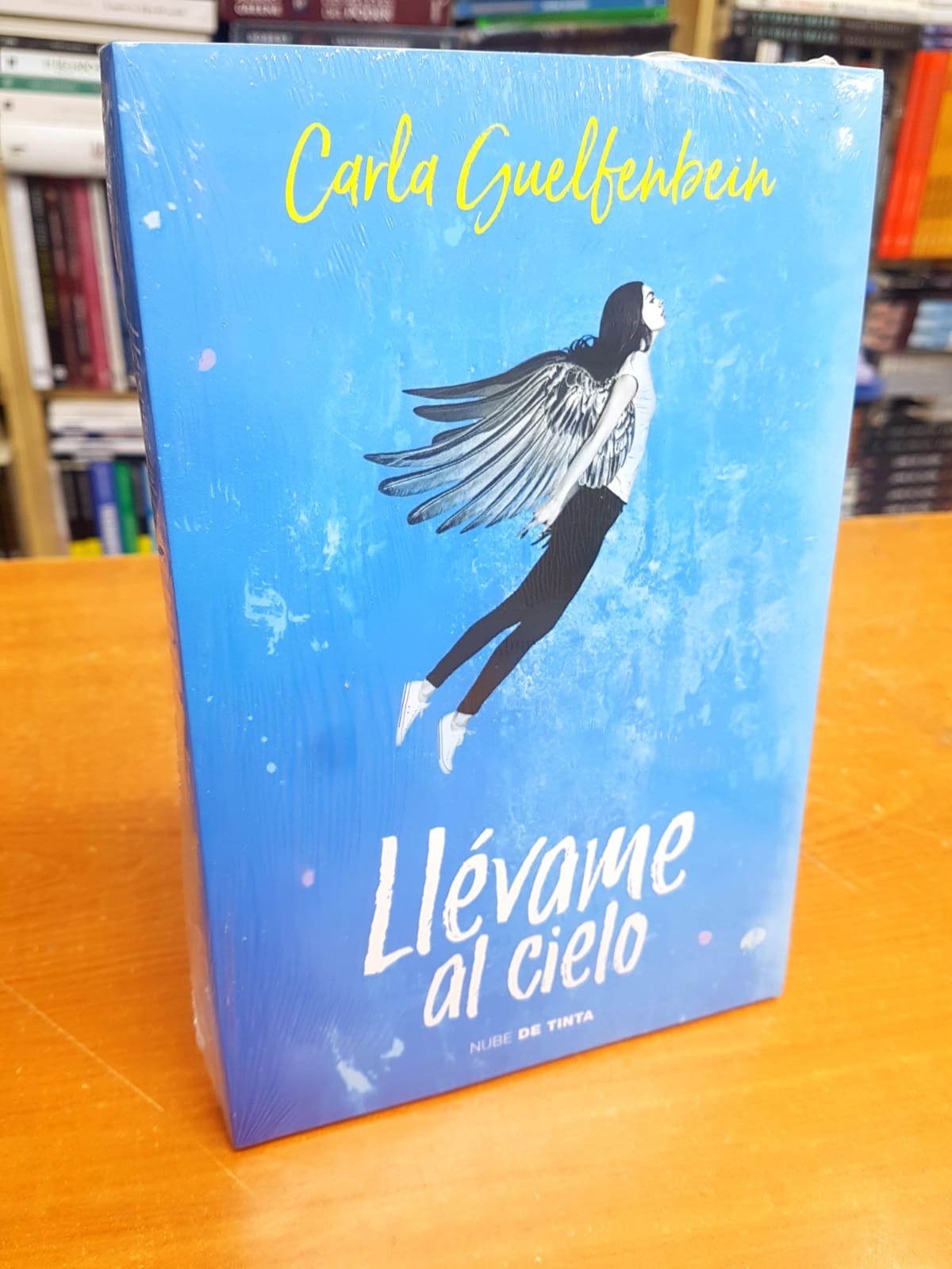 Llévame al Cielo. Carla Guelfenbein. 