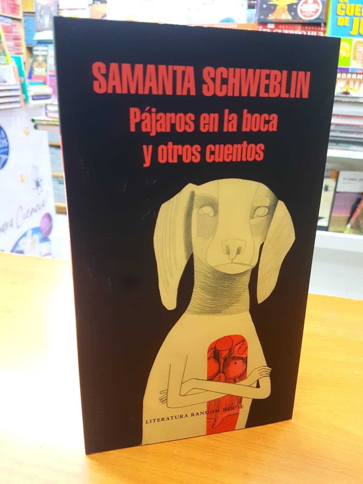 PAJAROS EN LA BOCA Y OTROS CUENTOS. Samantha Schweblin. 