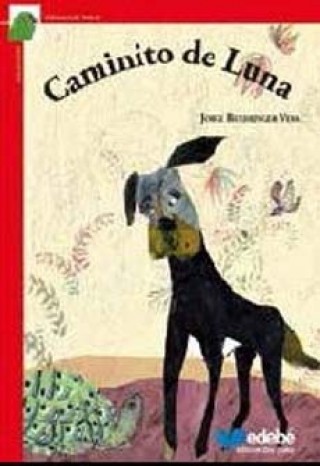 Caminito De Luna
