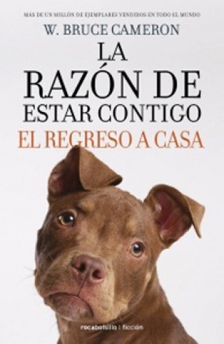 La Razón De Estar Contigo. El Regreso A Casa #3