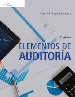Elementos de Auditoría